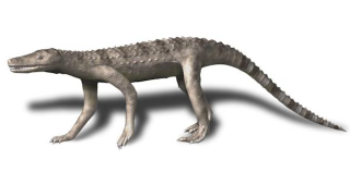 Illustration for article titled "Carolina Butcher" Was a Massive Croc That Hunted on its Hind Legs